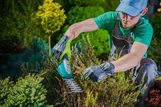 landscaping services Utica